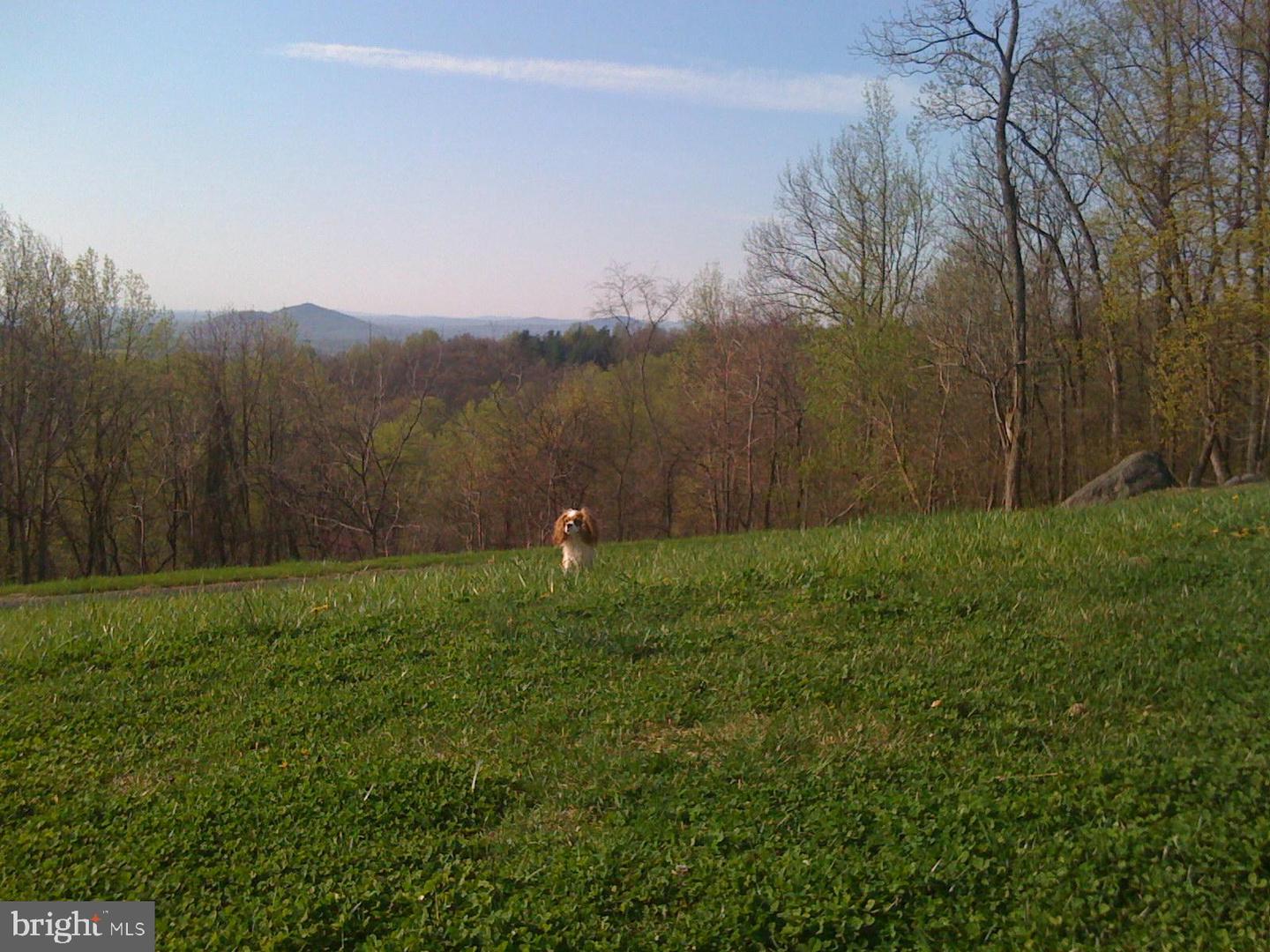 200 FOGG MOUNTAIN LN, FLINT HILL, Virginia 22627, 3 Bedrooms Bedrooms, ,2 BathroomsBathrooms,Residential,For Sale,200 FOGG MOUNTAIN LN,VARP2002366 MLS # VARP2002366