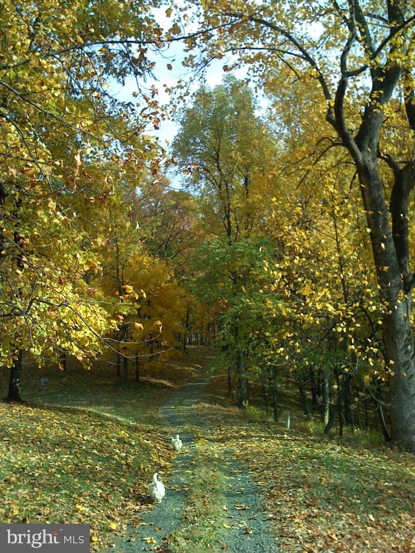 200 FOGG MOUNTAIN LN, FLINT HILL, Virginia 22627, 3 Bedrooms Bedrooms, ,2 BathroomsBathrooms,Residential,For Sale,200 FOGG MOUNTAIN LN,VARP2002366 MLS # VARP2002366