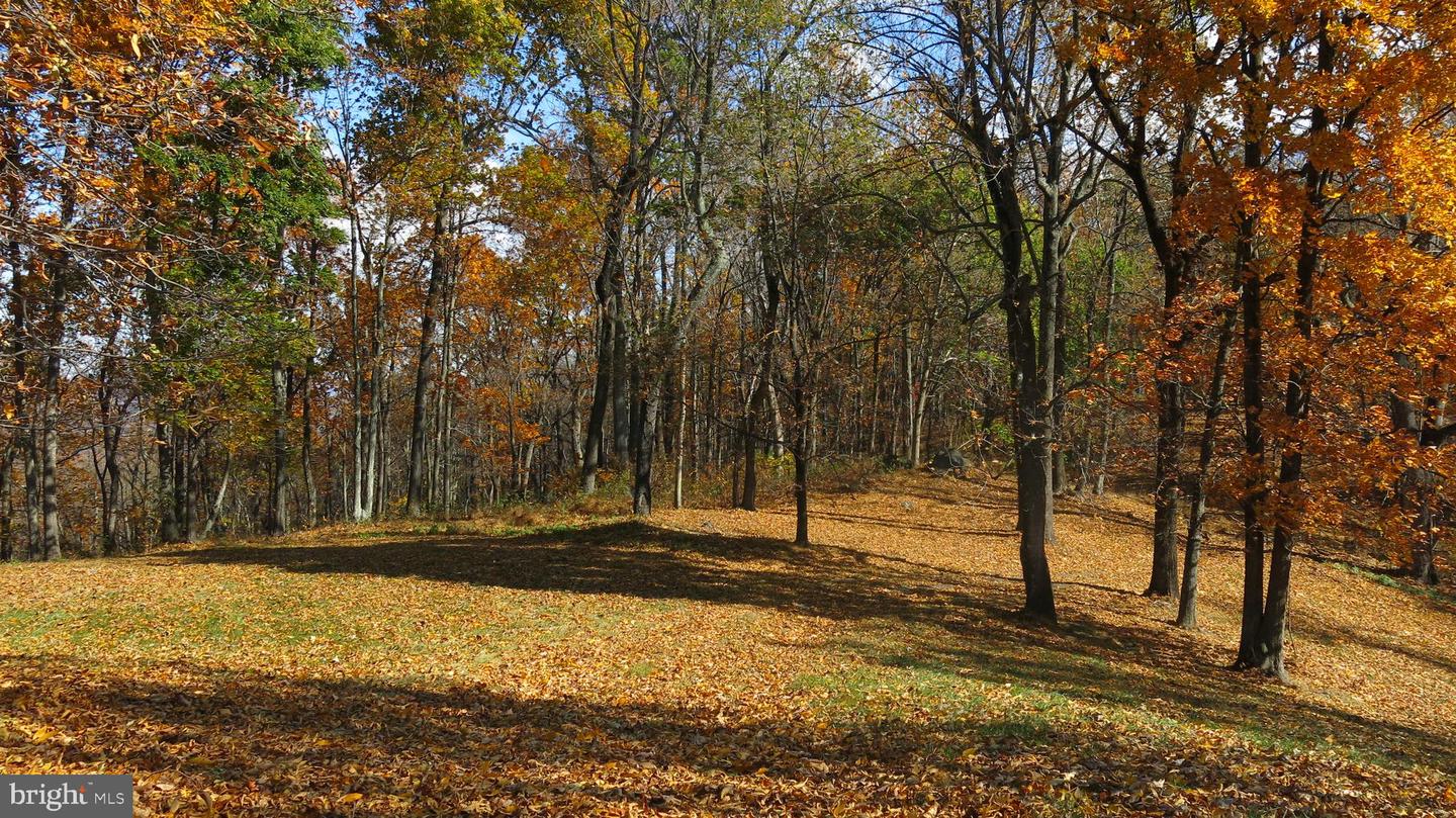 200 FOGG MOUNTAIN LN, FLINT HILL, Virginia 22627, 3 Bedrooms Bedrooms, ,2 BathroomsBathrooms,Residential,For Sale,200 FOGG MOUNTAIN LN,VARP2002366 MLS # VARP2002366