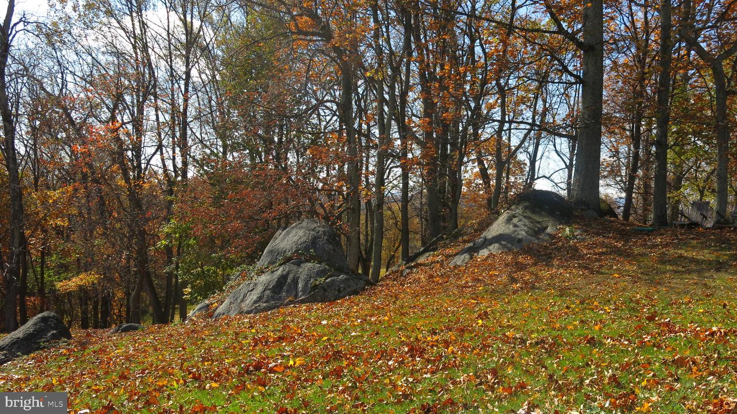 200 FOGG MOUNTAIN LN, FLINT HILL, Virginia 22627, 3 Bedrooms Bedrooms, ,2 BathroomsBathrooms,Residential,For Sale,200 FOGG MOUNTAIN LN,VARP2002366 MLS # VARP2002366