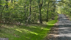 PARCEL 7 FINN LN, ELKWOOD, Virginia 22718, ,Land,For Sale,PARCEL 7 FINN LN,VACU2011574 MLS # VACU2011574