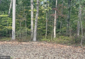 PARCEL 18 CAMDEN LN, ELKWOOD, Virginia 22718, ,Land,For Sale,PARCEL 18 CAMDEN LN,VACU2011636 MLS # VACU2011636 PARCEL 18 CAMDEN LN, ELKWOOD, Virginia 22718, ,Land,For Sale,PARCEL 18 CAMDEN LN,VACU2011636 MLS # VACU2011636