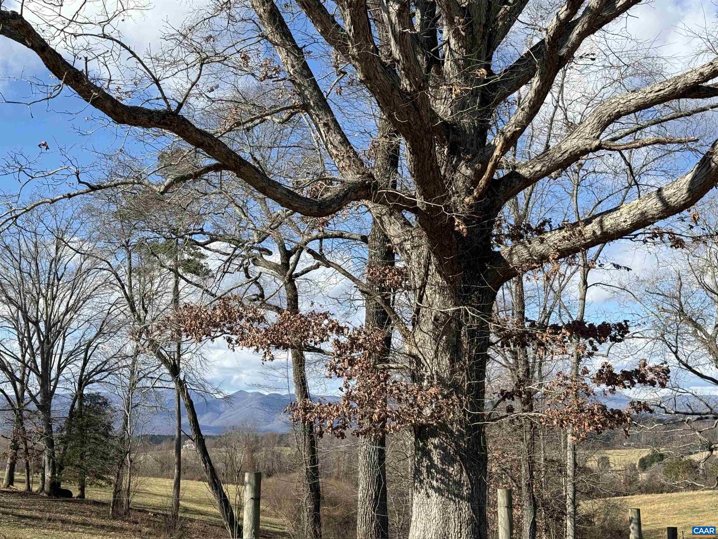 00 OLD HOMEPLACE LN #32-37A, 32037-B, 32-, BRIGHTWOOD, Virginia 22735, ,Farm,For Sale,00 OLD HOMEPLACE LN #32-37A, 32037-B, 32-,670548 MLS # 670548