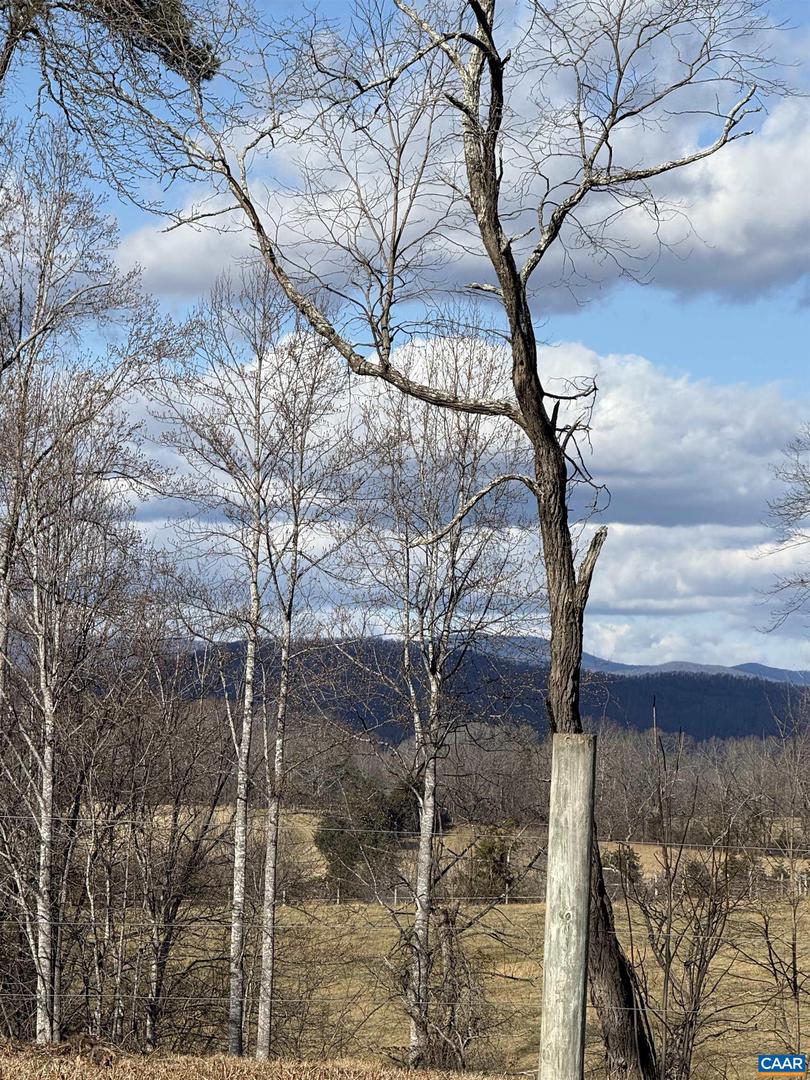 00 OLD HOMEPLACE LN #32-37A, 32037-B, 32-, BRIGHTWOOD, Virginia 22735, ,Farm,For Sale,00 OLD HOMEPLACE LN #32-37A, 32037-B, 32-,670548 MLS # 670548