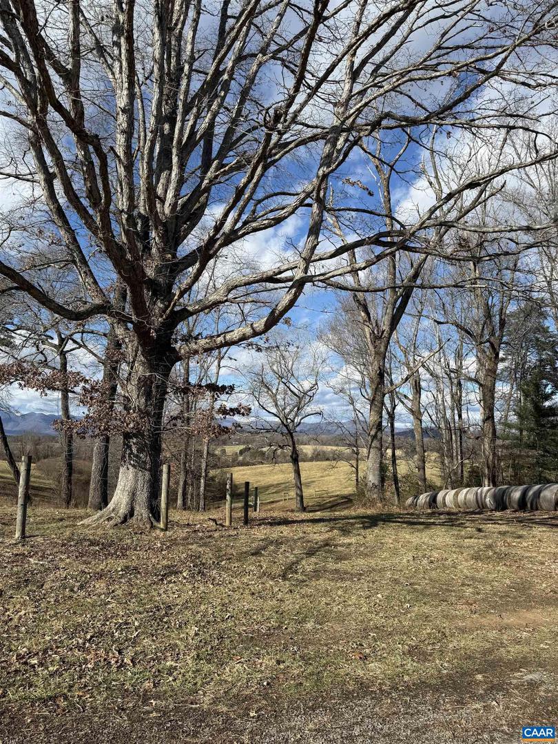 00 OLD HOMEPLACE LN #32-37A, 32037-B, 32-, BRIGHTWOOD, Virginia 22735, ,Farm,For Sale,00 OLD HOMEPLACE LN #32-37A, 32037-B, 32-,670548 MLS # 670548