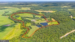 LOT 11 TEAL, ELKWOOD, Virginia 22718, ,Farm,For Sale,LOT 11 TEAL,VACU2011914 MLS # VACU2011914