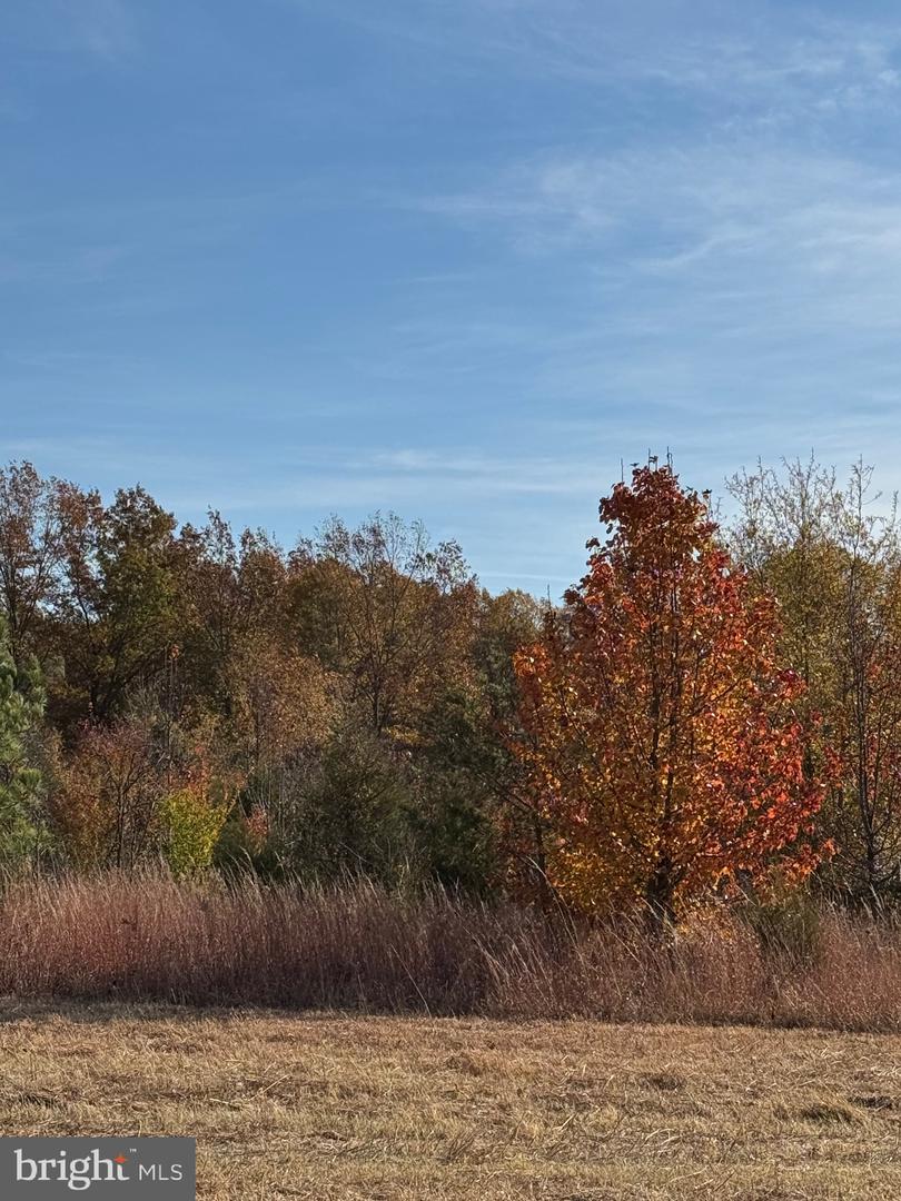 00 BAINES CORNER ROAD, BEALETON, Virginia 22712, ,Land,For Sale,00 BAINES CORNER ROAD,VAFQ2019538 MLS # VAFQ2019538 00 BAINES CORNER ROAD, BEALETON, Virginia 22712, ,Land,For Sale,00 BAINES CORNER ROAD,VAFQ2019538 MLS # VAFQ2019538