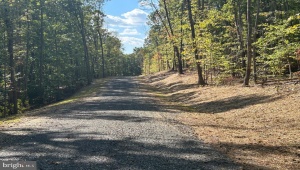 PARCEL 20 KIPPS LN, ELKWOOD, Virginia 22718, ,Land,For Sale,PARCEL 20 KIPPS LN,VACU2011634 MLS # VACU2011634