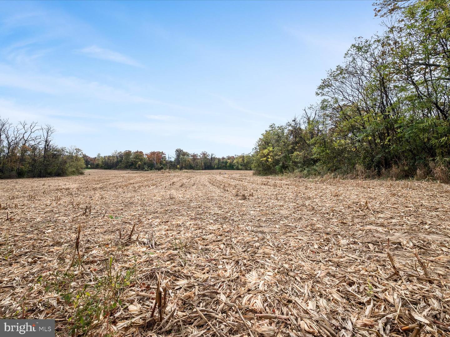 458 HITES RD, STEPHENS CITY, Virginia 22655, ,Farm,For Sale,458 HITES RD,VAFV2037666 MLS # VAFV2037666