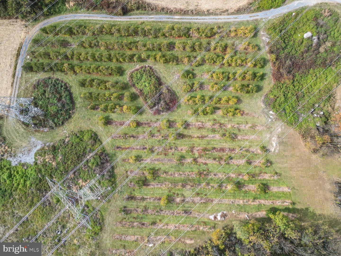 458 HITES RD, STEPHENS CITY, Virginia 22655, ,Farm,For Sale,458 HITES RD,VAFV2037666 MLS # VAFV2037666