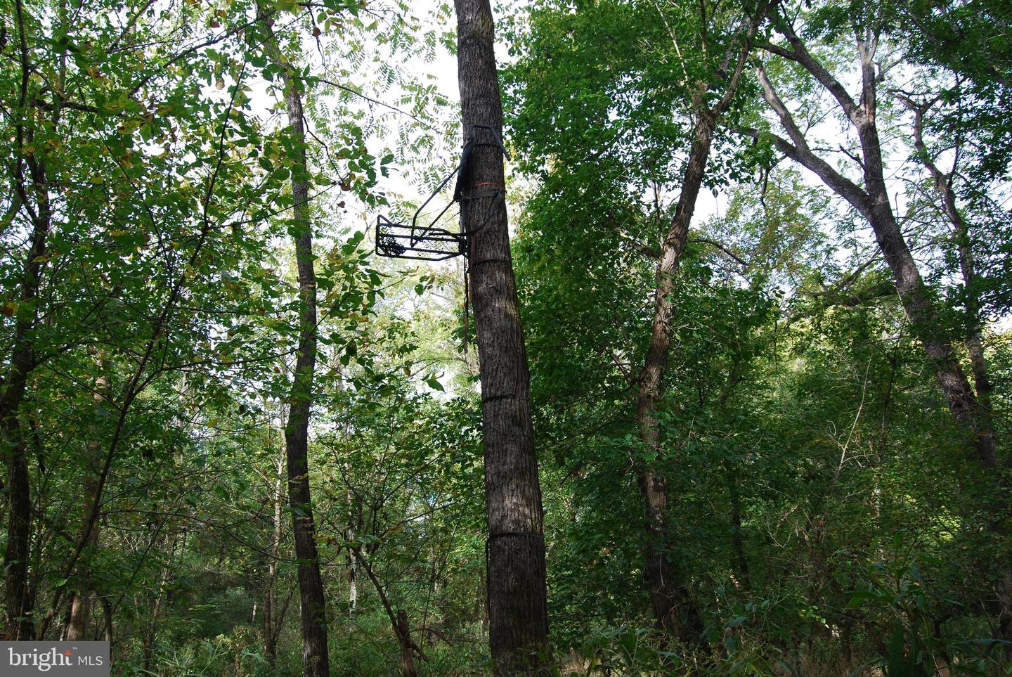 2983 OLD WINCHESTER RD, BOYCE, Virginia 22620, 3 Bedrooms Bedrooms, ,2 BathroomsBathrooms,Residential,For Sale,2983 OLD WINCHESTER RD,VACL2006126 MLS # VACL2006126