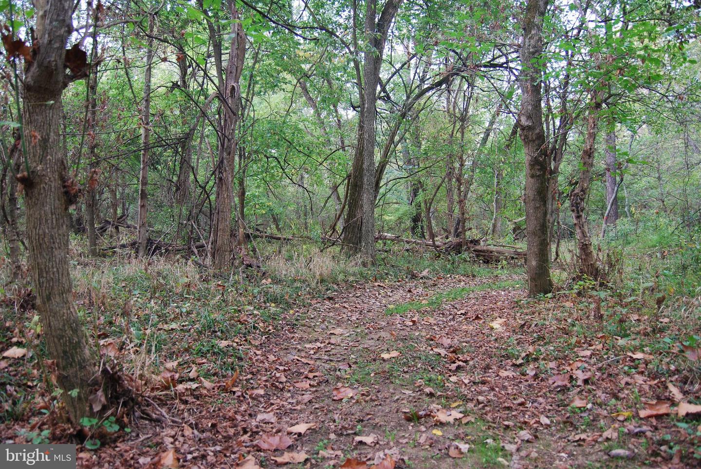 2983 OLD WINCHESTER RD, BOYCE, Virginia 22620, 3 Bedrooms Bedrooms, ,2 BathroomsBathrooms,Residential,For Sale,2983 OLD WINCHESTER RD,VACL2006126 MLS # VACL2006126