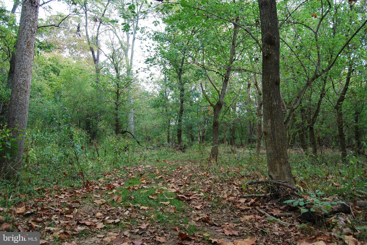 2983 OLD WINCHESTER RD, BOYCE, Virginia 22620, 3 Bedrooms Bedrooms, ,2 BathroomsBathrooms,Residential,For Sale,2983 OLD WINCHESTER RD,VACL2006126 MLS # VACL2006126