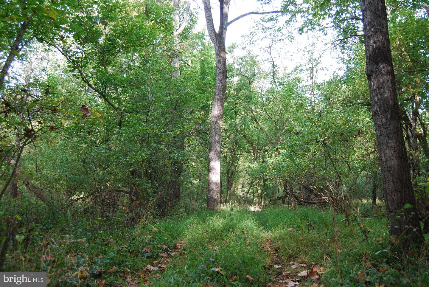 2983 OLD WINCHESTER RD, BOYCE, Virginia 22620, 3 Bedrooms Bedrooms, ,2 BathroomsBathrooms,Residential,For Sale,2983 OLD WINCHESTER RD,VACL2006126 MLS # VACL2006126