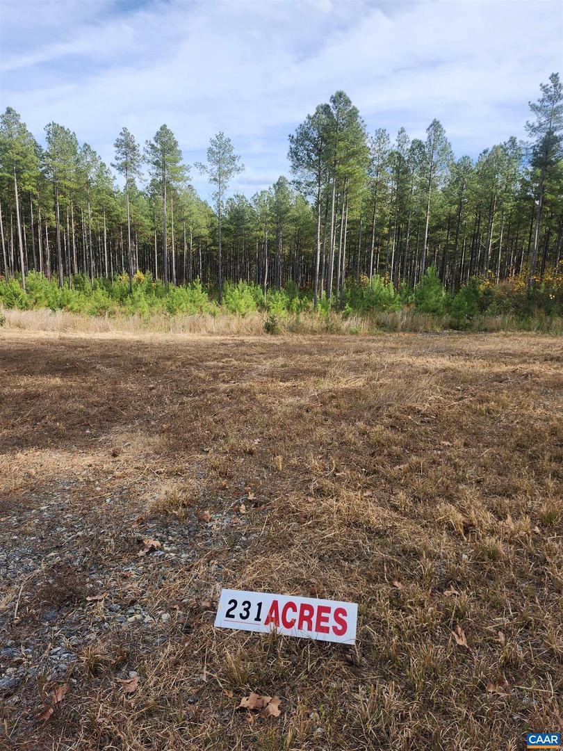 0 JOHNSON RD #TAX MAP 44 PARCEL 10, MINERAL, Virginia 23117, ,Farm,For Sale,0 JOHNSON RD #TAX MAP 44 PARCEL 10,670645 MLS # 670645 0 JOHNSON RD #TAX MAP 44 PARCEL 10, MINERAL, Virginia 23117, ,Farm,For Sale,0 JOHNSON RD #TAX MAP 44 PARCEL 10,670645 MLS # 670645