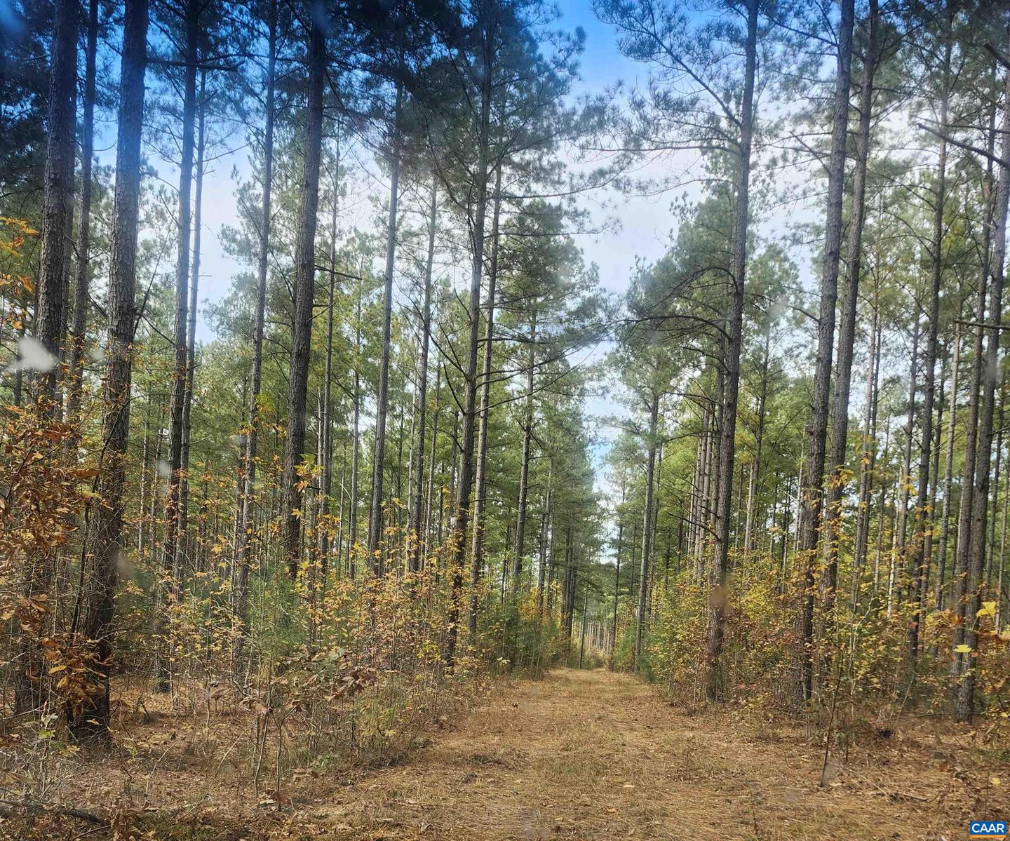 0 JOHNSON RD #TAX MAP 44 PARCEL 10, MINERAL, Virginia 23117, ,Farm,For Sale,0 JOHNSON RD #TAX MAP 44 PARCEL 10,670645 MLS # 670645 0 JOHNSON RD #TAX MAP 44 PARCEL 10, MINERAL, Virginia 23117, ,Farm,For Sale,0 JOHNSON RD #TAX MAP 44 PARCEL 10,670645 MLS # 670645