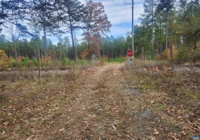 0 JOHNSON RD #TAX MAP 44 PARCEL 10, MINERAL, Virginia 23117, ,Farm,For Sale,0 JOHNSON RD #TAX MAP 44 PARCEL 10,670645 MLS # 670645