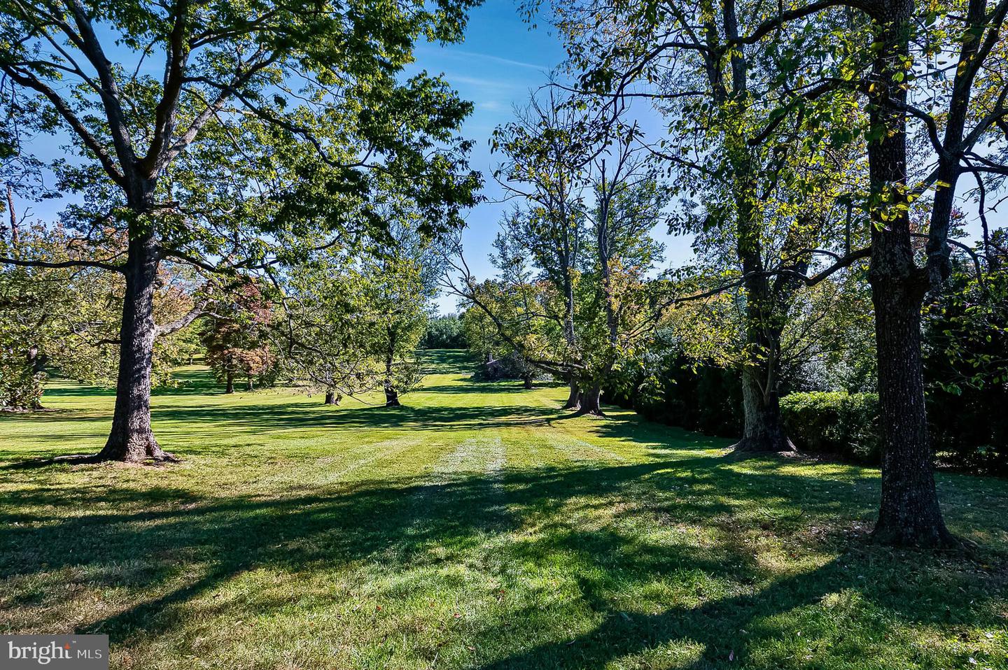 1610 DELAPLANE GRADE RD, UPPERVILLE, Virginia 20184, 4 Bedrooms Bedrooms, ,3 BathroomsBathrooms,Residential,For Sale,1610 DELAPLANE GRADE RD,VAFQ2019532 MLS # VAFQ2019532 1610 DELAPLANE GRADE RD, UPPERVILLE, Virginia 20184, 4 Bedrooms Bedrooms, ,3 BathroomsBathrooms,Residential,For Sale,1610 DELAPLANE GRADE RD,VAFQ2019532 MLS # VAFQ2019532