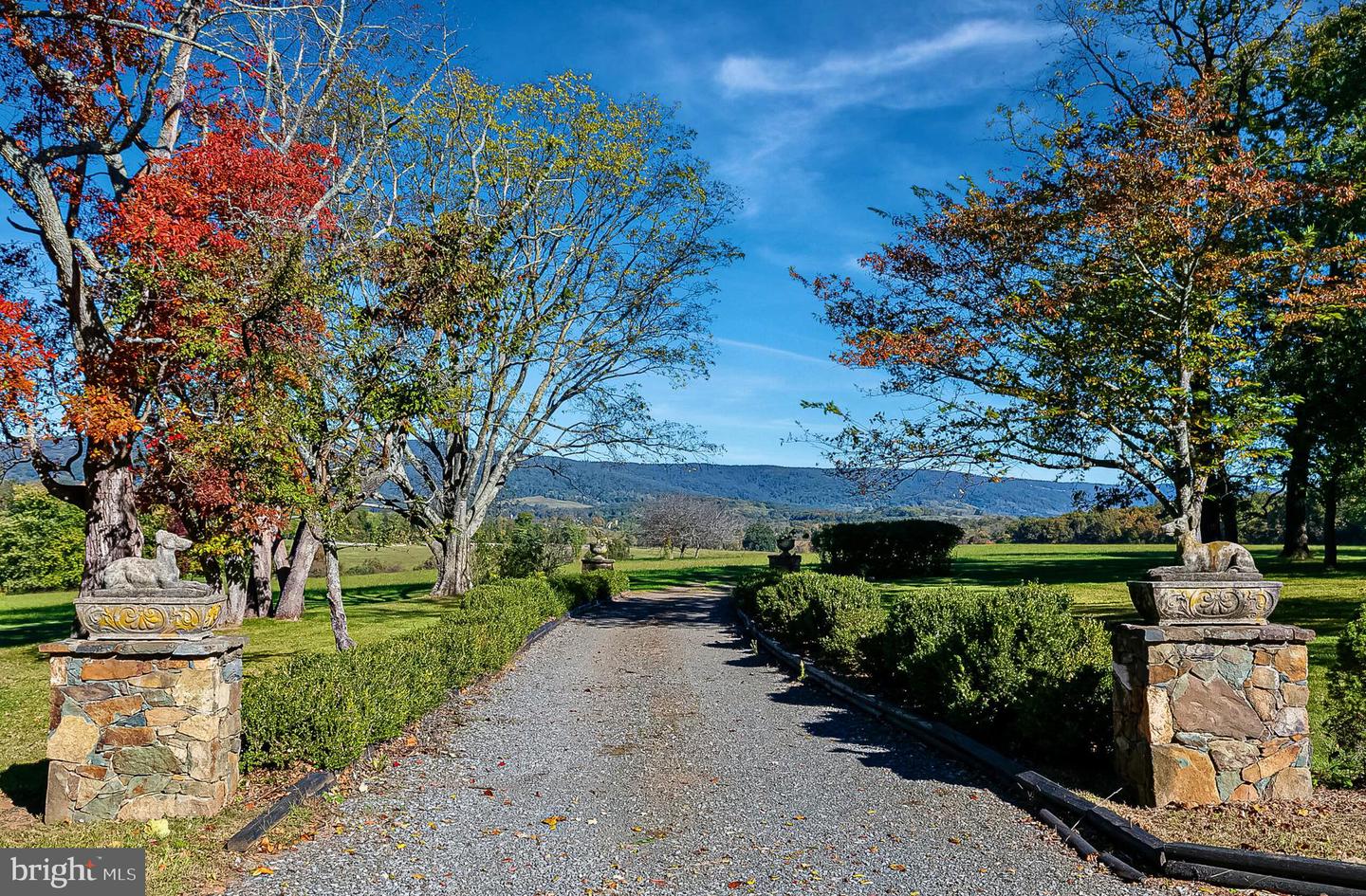 1610 DELAPLANE GRADE RD, UPPERVILLE, Virginia 20184, 4 Bedrooms Bedrooms, ,3 BathroomsBathrooms,Residential,For Sale,1610 DELAPLANE GRADE RD,VAFQ2019532 MLS # VAFQ2019532 1610 DELAPLANE GRADE RD, UPPERVILLE, Virginia 20184, 4 Bedrooms Bedrooms, ,3 BathroomsBathrooms,Residential,For Sale,1610 DELAPLANE GRADE RD,VAFQ2019532 MLS # VAFQ2019532