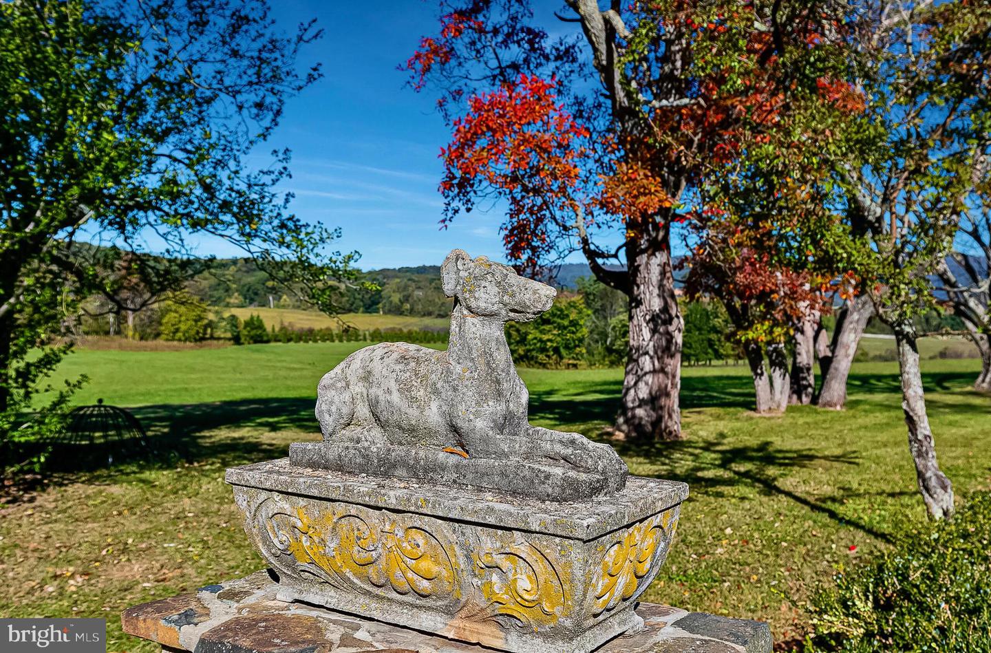 1610 DELAPLANE GRADE RD, UPPERVILLE, Virginia 20184, 4 Bedrooms Bedrooms, ,3 BathroomsBathrooms,Residential,For Sale,1610 DELAPLANE GRADE RD,VAFQ2019532 MLS # VAFQ2019532 1610 DELAPLANE GRADE RD, UPPERVILLE, Virginia 20184, 4 Bedrooms Bedrooms, ,3 BathroomsBathrooms,Residential,For Sale,1610 DELAPLANE GRADE RD,VAFQ2019532 MLS # VAFQ2019532