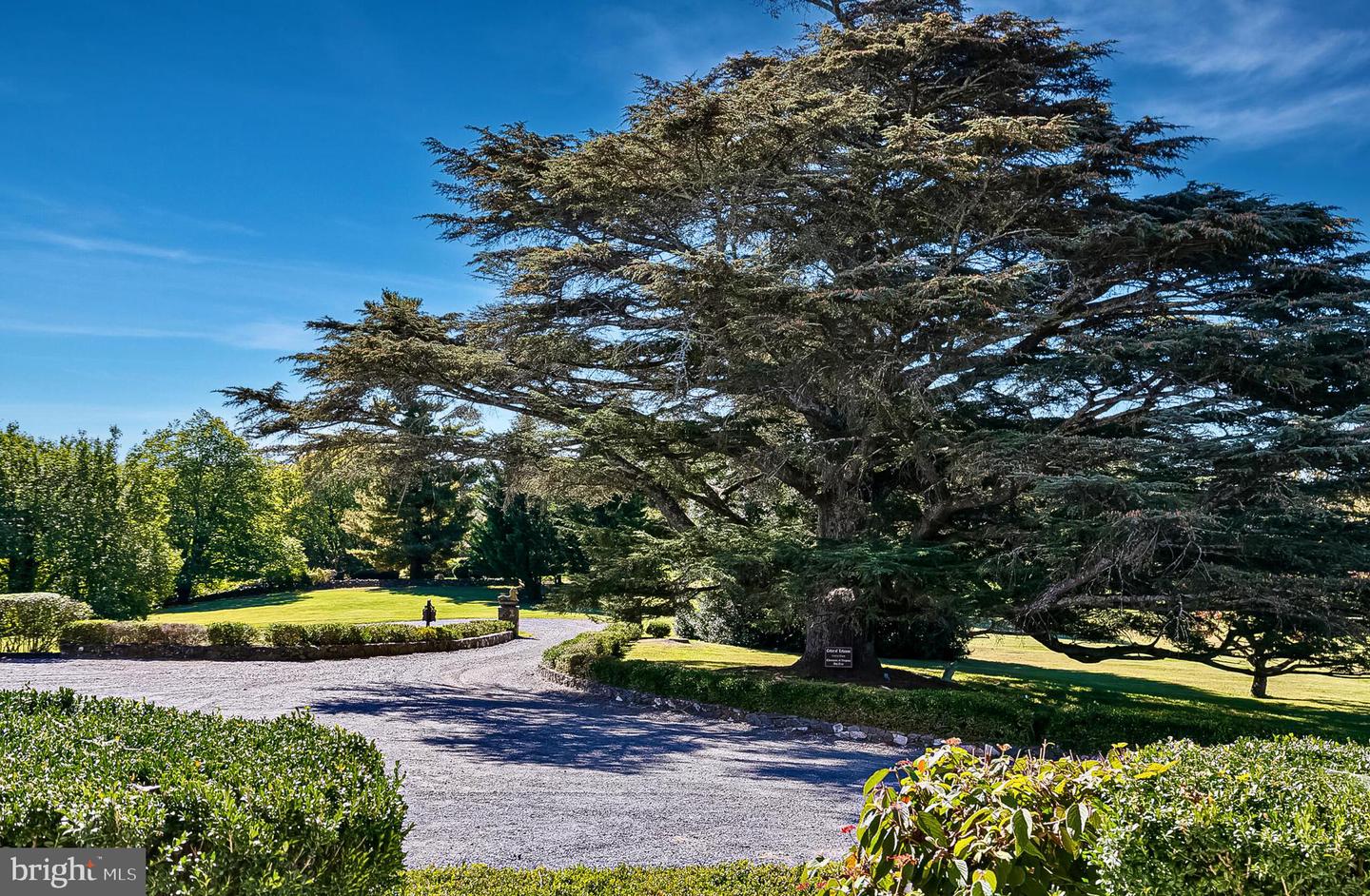 1610 DELAPLANE GRADE RD, UPPERVILLE, Virginia 20184, 4 Bedrooms Bedrooms, ,3 BathroomsBathrooms,Residential,For Sale,1610 DELAPLANE GRADE RD,VAFQ2019532 MLS # VAFQ2019532 1610 DELAPLANE GRADE RD, UPPERVILLE, Virginia 20184, 4 Bedrooms Bedrooms, ,3 BathroomsBathrooms,Residential,For Sale,1610 DELAPLANE GRADE RD,VAFQ2019532 MLS # VAFQ2019532