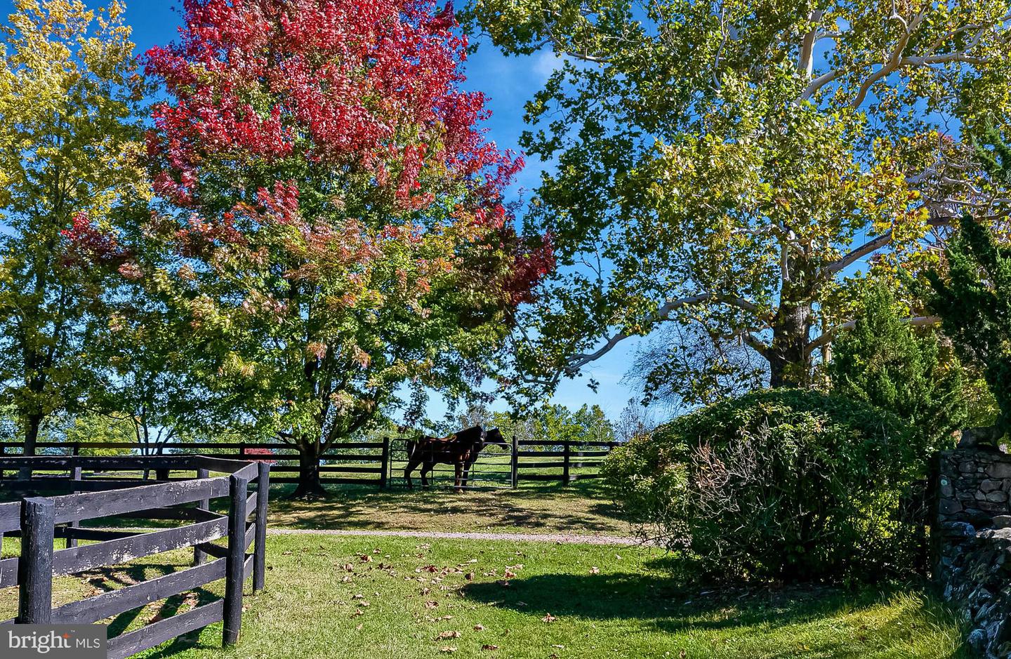 1610 DELAPLANE GRADE RD, UPPERVILLE, Virginia 20184, 4 Bedrooms Bedrooms, ,3 BathroomsBathrooms,Residential,For Sale,1610 DELAPLANE GRADE RD,VAFQ2019532 MLS # VAFQ2019532 1610 DELAPLANE GRADE RD, UPPERVILLE, Virginia 20184, 4 Bedrooms Bedrooms, ,3 BathroomsBathrooms,Residential,For Sale,1610 DELAPLANE GRADE RD,VAFQ2019532 MLS # VAFQ2019532