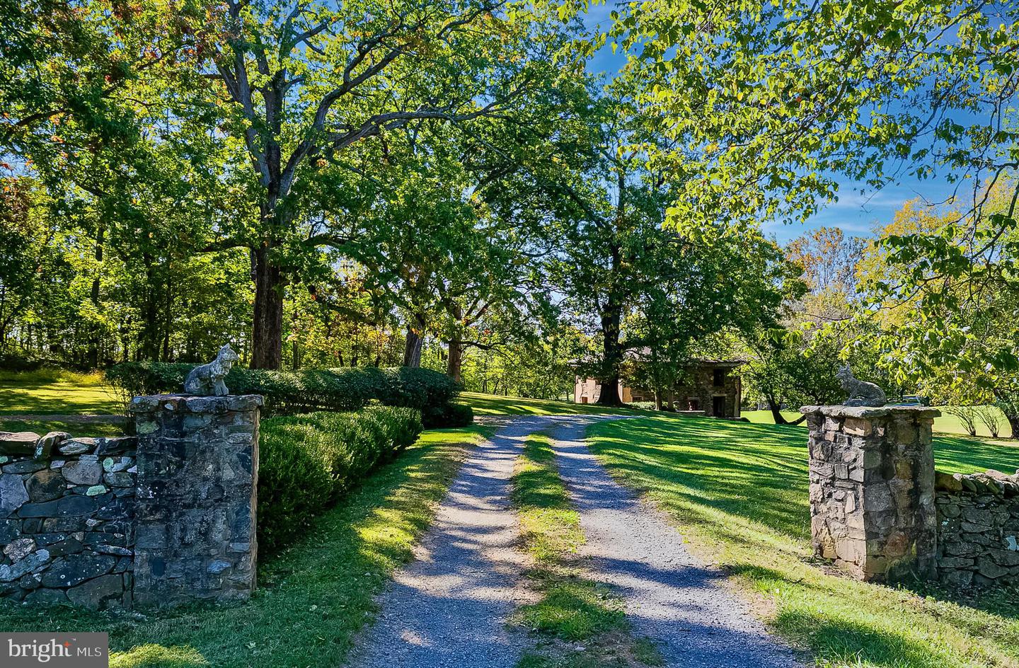 1610 DELAPLANE GRADE RD, UPPERVILLE, Virginia 20184, 4 Bedrooms Bedrooms, ,3 BathroomsBathrooms,Residential,For Sale,1610 DELAPLANE GRADE RD,VAFQ2019532 MLS # VAFQ2019532 1610 DELAPLANE GRADE RD, UPPERVILLE, Virginia 20184, 4 Bedrooms Bedrooms, ,3 BathroomsBathrooms,Residential,For Sale,1610 DELAPLANE GRADE RD,VAFQ2019532 MLS # VAFQ2019532