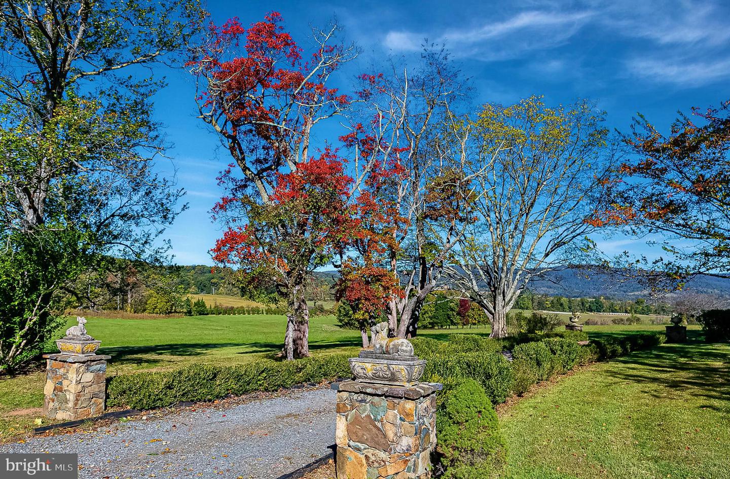 1610 DELAPLANE GRADE RD, UPPERVILLE, Virginia 20184, 4 Bedrooms Bedrooms, ,3 BathroomsBathrooms,Residential,For Sale,1610 DELAPLANE GRADE RD,VAFQ2019532 MLS # VAFQ2019532 1610 DELAPLANE GRADE RD, UPPERVILLE, Virginia 20184, 4 Bedrooms Bedrooms, ,3 BathroomsBathrooms,Residential,For Sale,1610 DELAPLANE GRADE RD,VAFQ2019532 MLS # VAFQ2019532