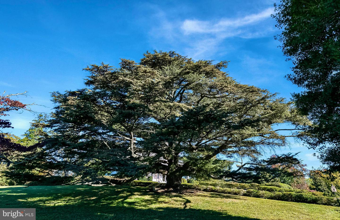 1610 DELAPLANE GRADE RD, UPPERVILLE, Virginia 20184, 4 Bedrooms Bedrooms, ,3 BathroomsBathrooms,Residential,For Sale,1610 DELAPLANE GRADE RD,VAFQ2019532 MLS # VAFQ2019532 1610 DELAPLANE GRADE RD, UPPERVILLE, Virginia 20184, 4 Bedrooms Bedrooms, ,3 BathroomsBathrooms,Residential,For Sale,1610 DELAPLANE GRADE RD,VAFQ2019532 MLS # VAFQ2019532