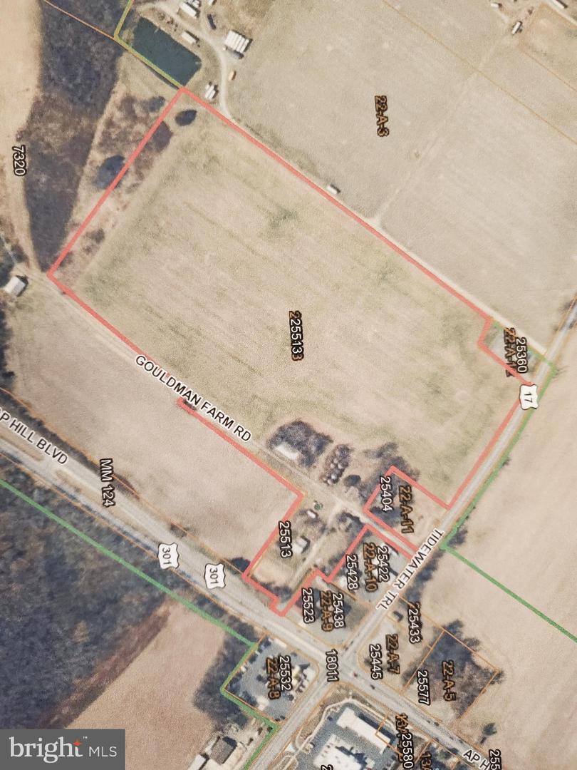 25513 TIDEWATER TRL, PORT ROYAL, Virginia 22535, ,Land,For Sale,25513 TIDEWATER TRL,VACV2009086 MLS # VACV2009086 25513 TIDEWATER TRL, PORT ROYAL, Virginia 22535, ,Land,For Sale,25513 TIDEWATER TRL,VACV2009086 MLS # VACV2009086