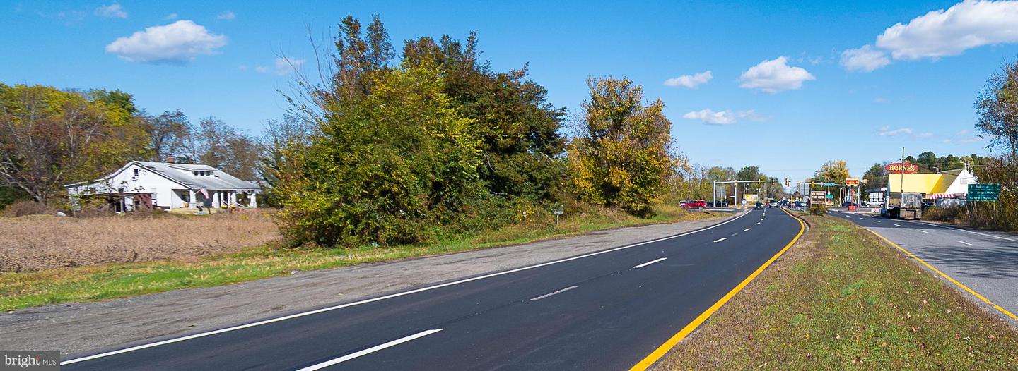 25513 TIDEWATER TRL, PORT ROYAL, Virginia 22535, ,Land,For Sale,25513 TIDEWATER TRL,VACV2009086 MLS # VACV2009086 25513 TIDEWATER TRL, PORT ROYAL, Virginia 22535, ,Land,For Sale,25513 TIDEWATER TRL,VACV2009086 MLS # VACV2009086