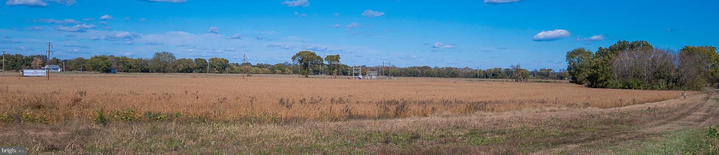 25513 TIDEWATER TRL, PORT ROYAL, Virginia 22535, ,Land,For Sale,25513 TIDEWATER TRL,VACV2009086 MLS # VACV2009086 25513 TIDEWATER TRL, PORT ROYAL, Virginia 22535, ,Land,For Sale,25513 TIDEWATER TRL,VACV2009086 MLS # VACV2009086