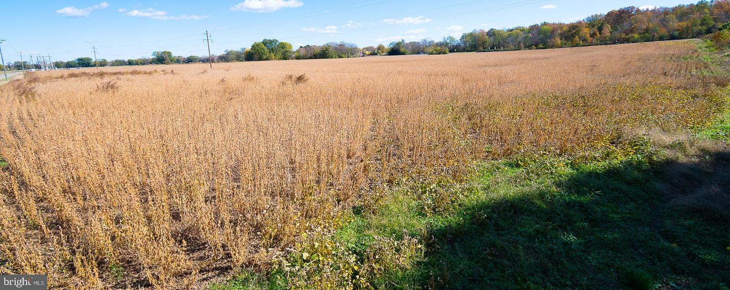 25513 TIDEWATER TRL, PORT ROYAL, Virginia 22535, ,Land,For Sale,25513 TIDEWATER TRL,VACV2009086 MLS # VACV2009086 25513 TIDEWATER TRL, PORT ROYAL, Virginia 22535, ,Land,For Sale,25513 TIDEWATER TRL,VACV2009086 MLS # VACV2009086