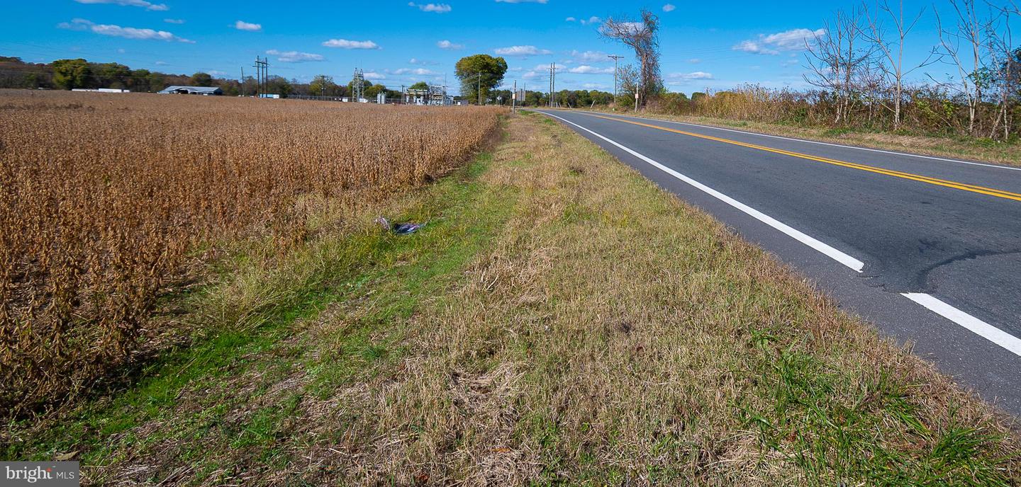 25513 TIDEWATER TRL, PORT ROYAL, Virginia 22535, ,Land,For Sale,25513 TIDEWATER TRL,VACV2009086 MLS # VACV2009086 25513 TIDEWATER TRL, PORT ROYAL, Virginia 22535, ,Land,For Sale,25513 TIDEWATER TRL,VACV2009086 MLS # VACV2009086