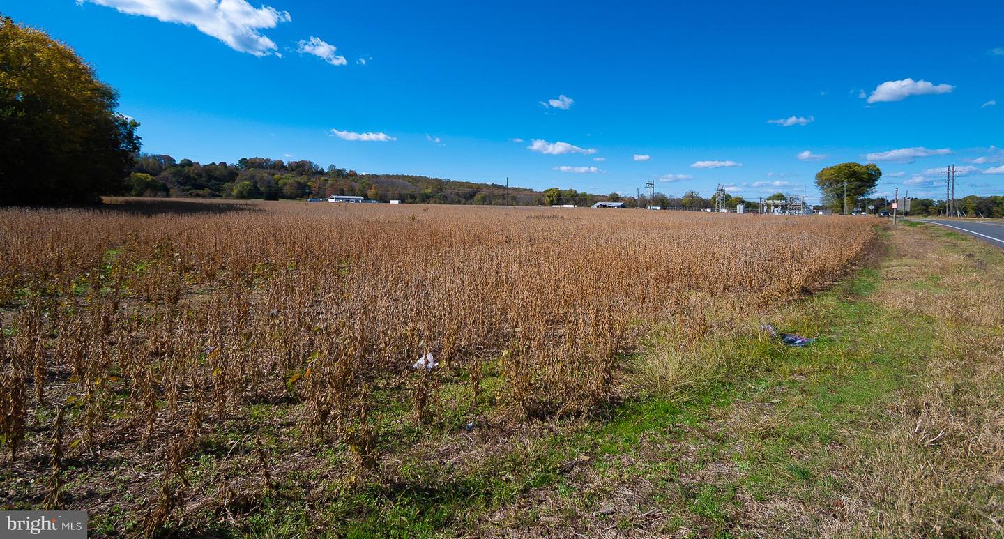 25513 TIDEWATER TRL, PORT ROYAL, Virginia 22535, ,Land,For Sale,25513 TIDEWATER TRL,VACV2009086 MLS # VACV2009086 25513 TIDEWATER TRL, PORT ROYAL, Virginia 22535, ,Land,For Sale,25513 TIDEWATER TRL,VACV2009086 MLS # VACV2009086