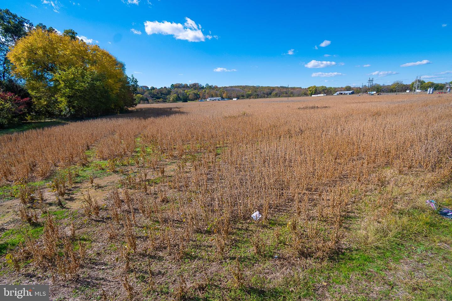 25513 TIDEWATER TRL, PORT ROYAL, Virginia 22535, ,Land,For Sale,25513 TIDEWATER TRL,VACV2009086 MLS # VACV2009086 25513 TIDEWATER TRL, PORT ROYAL, Virginia 22535, ,Land,For Sale,25513 TIDEWATER TRL,VACV2009086 MLS # VACV2009086