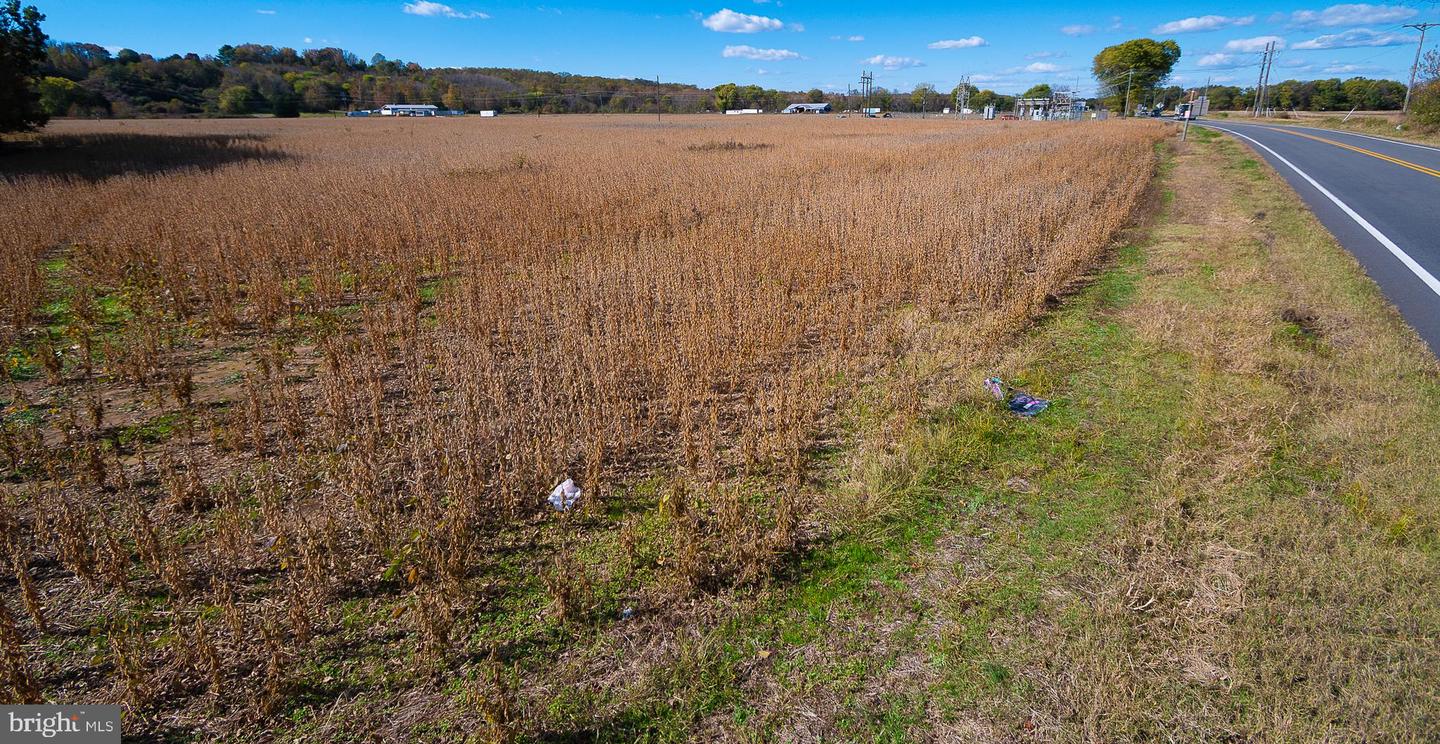 25513 TIDEWATER TRL, PORT ROYAL, Virginia 22535, ,Land,For Sale,25513 TIDEWATER TRL,VACV2009086 MLS # VACV2009086 25513 TIDEWATER TRL, PORT ROYAL, Virginia 22535, ,Land,For Sale,25513 TIDEWATER TRL,VACV2009086 MLS # VACV2009086