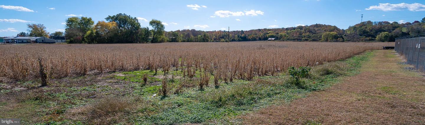 25513 TIDEWATER TRL, PORT ROYAL, Virginia 22535, ,Land,For Sale,25513 TIDEWATER TRL,VACV2009086 MLS # VACV2009086 25513 TIDEWATER TRL, PORT ROYAL, Virginia 22535, ,Land,For Sale,25513 TIDEWATER TRL,VACV2009086 MLS # VACV2009086