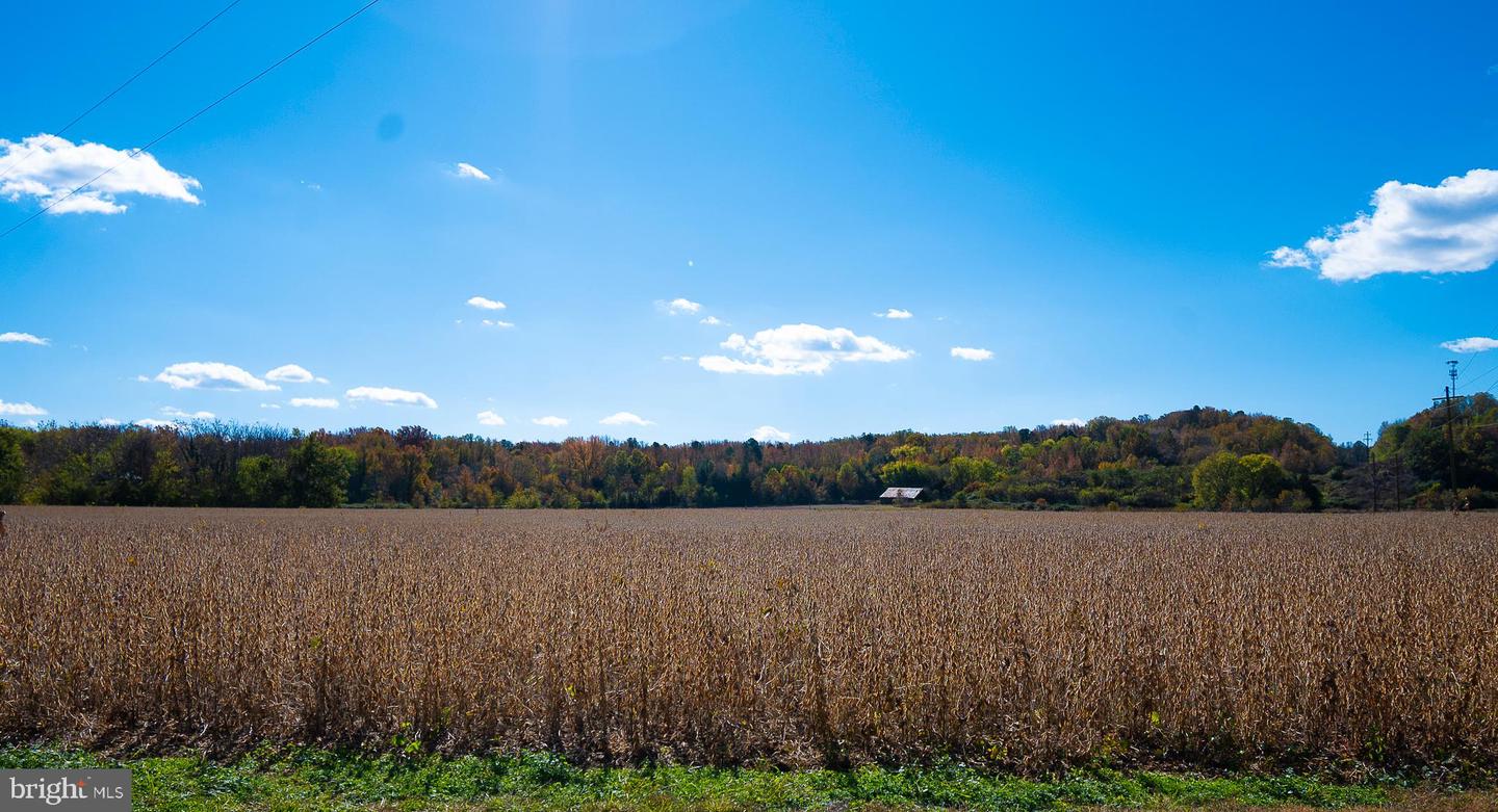 25513 TIDEWATER TRL, PORT ROYAL, Virginia 22535, ,Land,For Sale,25513 TIDEWATER TRL,VACV2009086 MLS # VACV2009086 25513 TIDEWATER TRL, PORT ROYAL, Virginia 22535, ,Land,For Sale,25513 TIDEWATER TRL,VACV2009086 MLS # VACV2009086