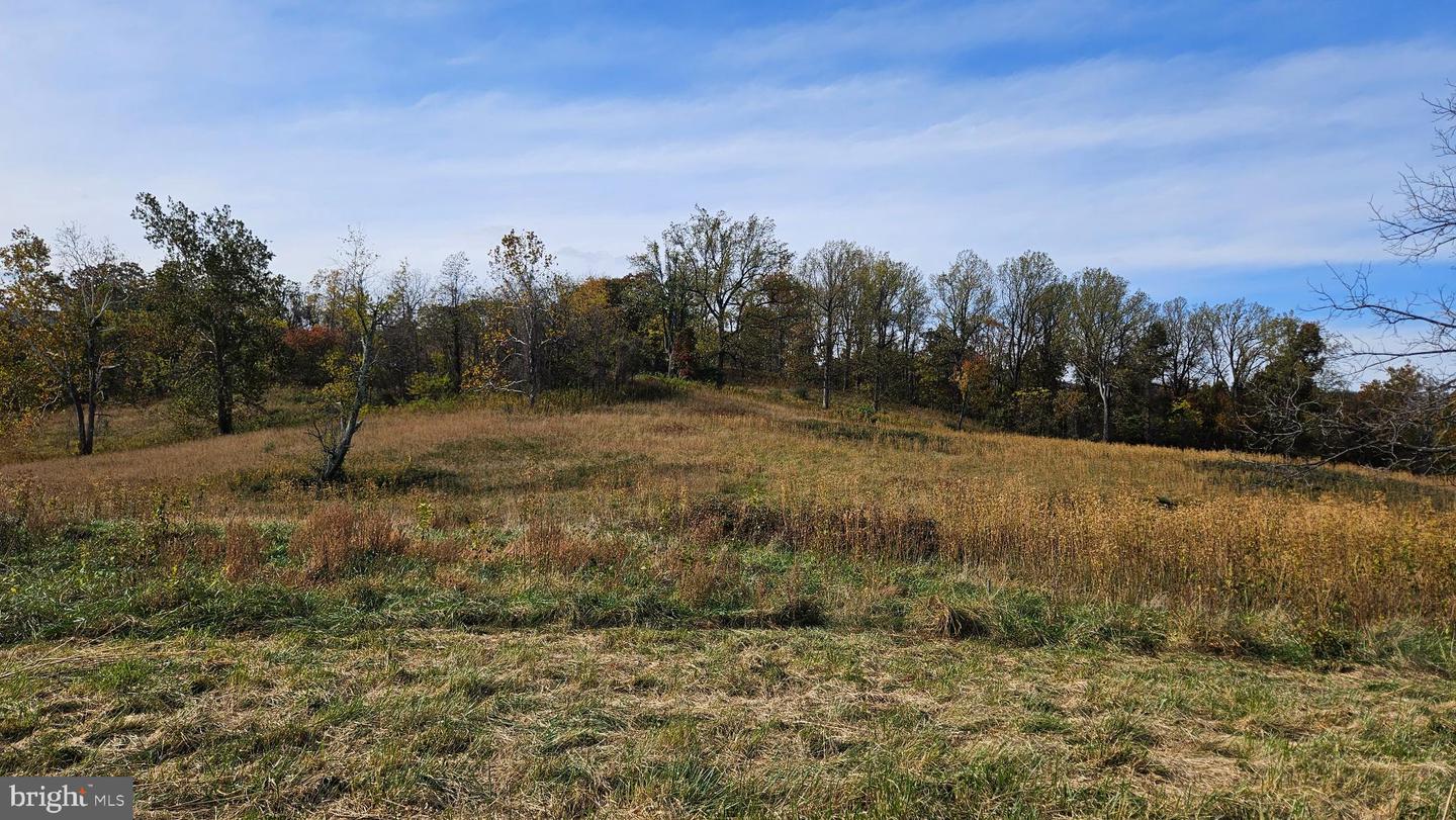 63 RILEY HOLLOW RD, HUNTLY, Virginia 22640, 2 Bedrooms Bedrooms, 7 Rooms Rooms,2 BathroomsBathrooms,Residential,For Sale,63 RILEY HOLLOW RD,VARP2002376 MLS # VARP2002376