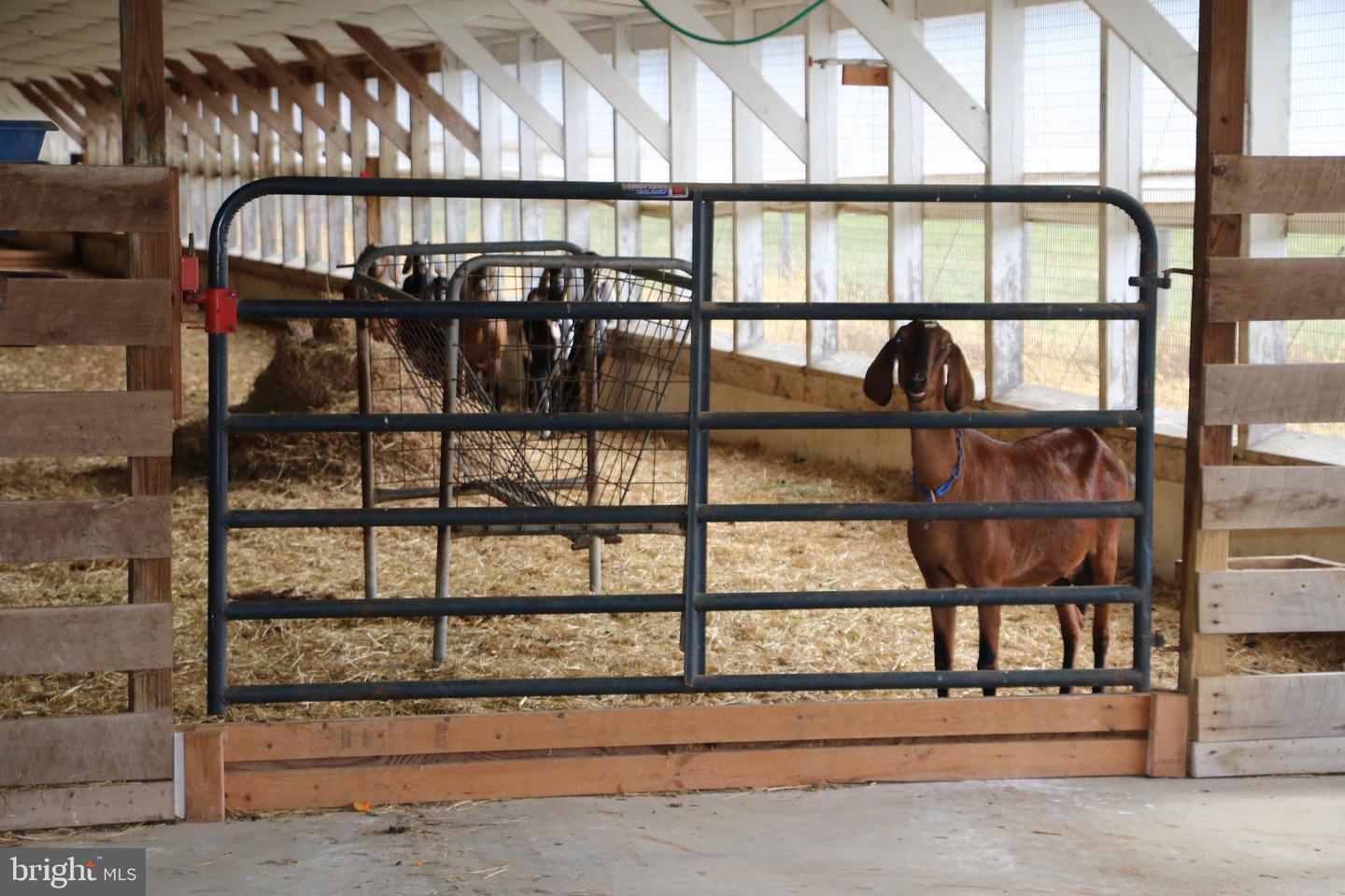 499 E LEE HWY, NEW MARKET, Virginia 22844, 3 Bedrooms Bedrooms, ,2 BathroomsBathrooms,Farm,For Sale,499 E LEE HWY,VASH2012864 MLS # VASH2012864