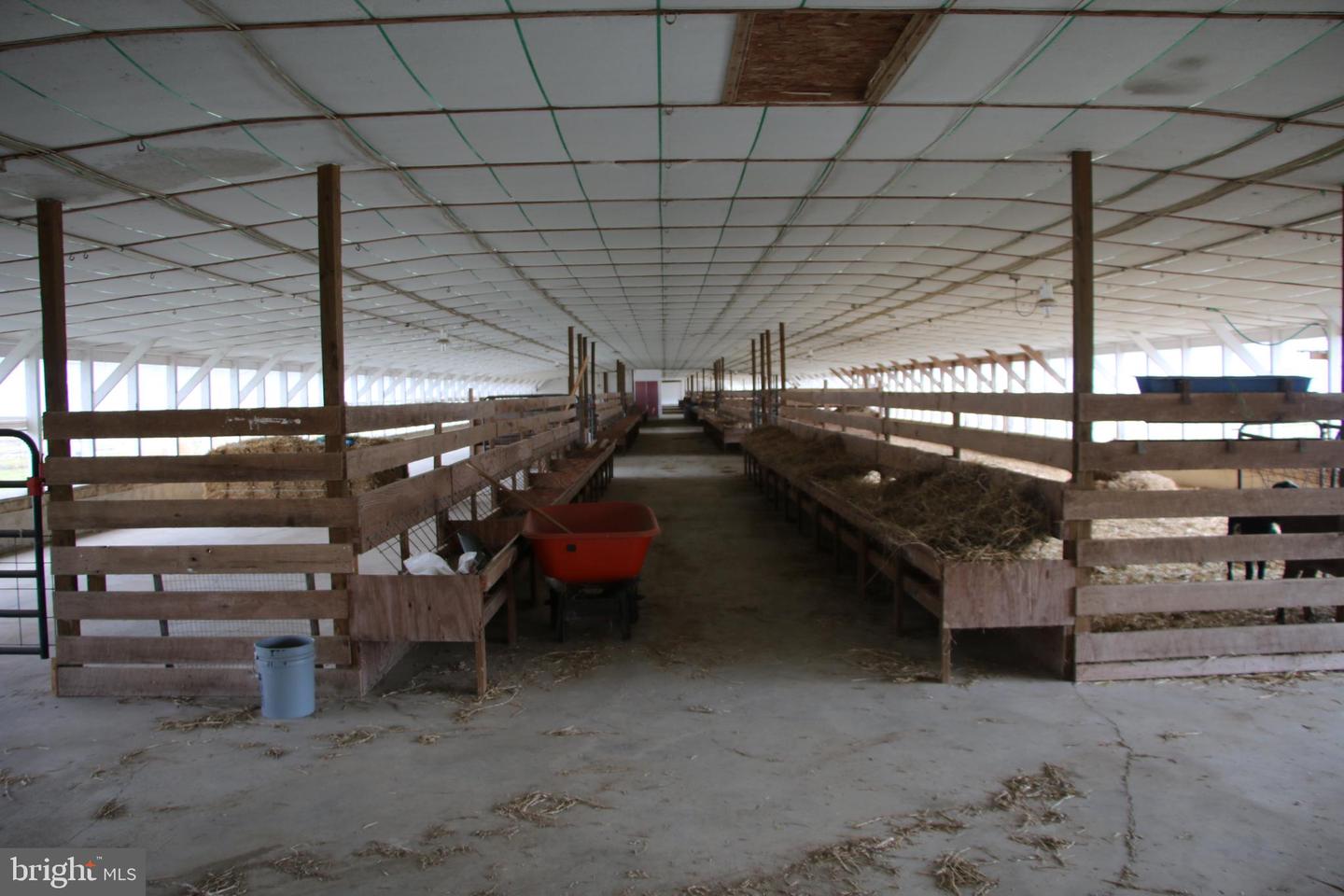 499 E LEE HWY, NEW MARKET, Virginia 22844, 3 Bedrooms Bedrooms, ,2 BathroomsBathrooms,Farm,For Sale,499 E LEE HWY,VASH2012864 MLS # VASH2012864