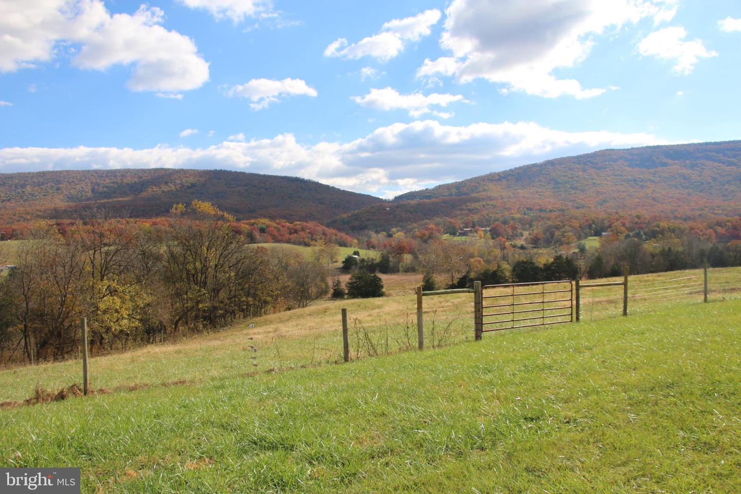 499 E LEE HWY, NEW MARKET, Virginia 22844, 3 Bedrooms Bedrooms, ,2 BathroomsBathrooms,Farm,For Sale,499 E LEE HWY,VASH2012864 MLS # VASH2012864