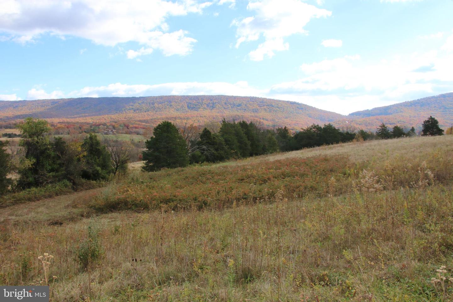 499 E LEE HWY, NEW MARKET, Virginia 22844, 3 Bedrooms Bedrooms, ,2 BathroomsBathrooms,Farm,For Sale,499 E LEE HWY,VASH2012864 MLS # VASH2012864