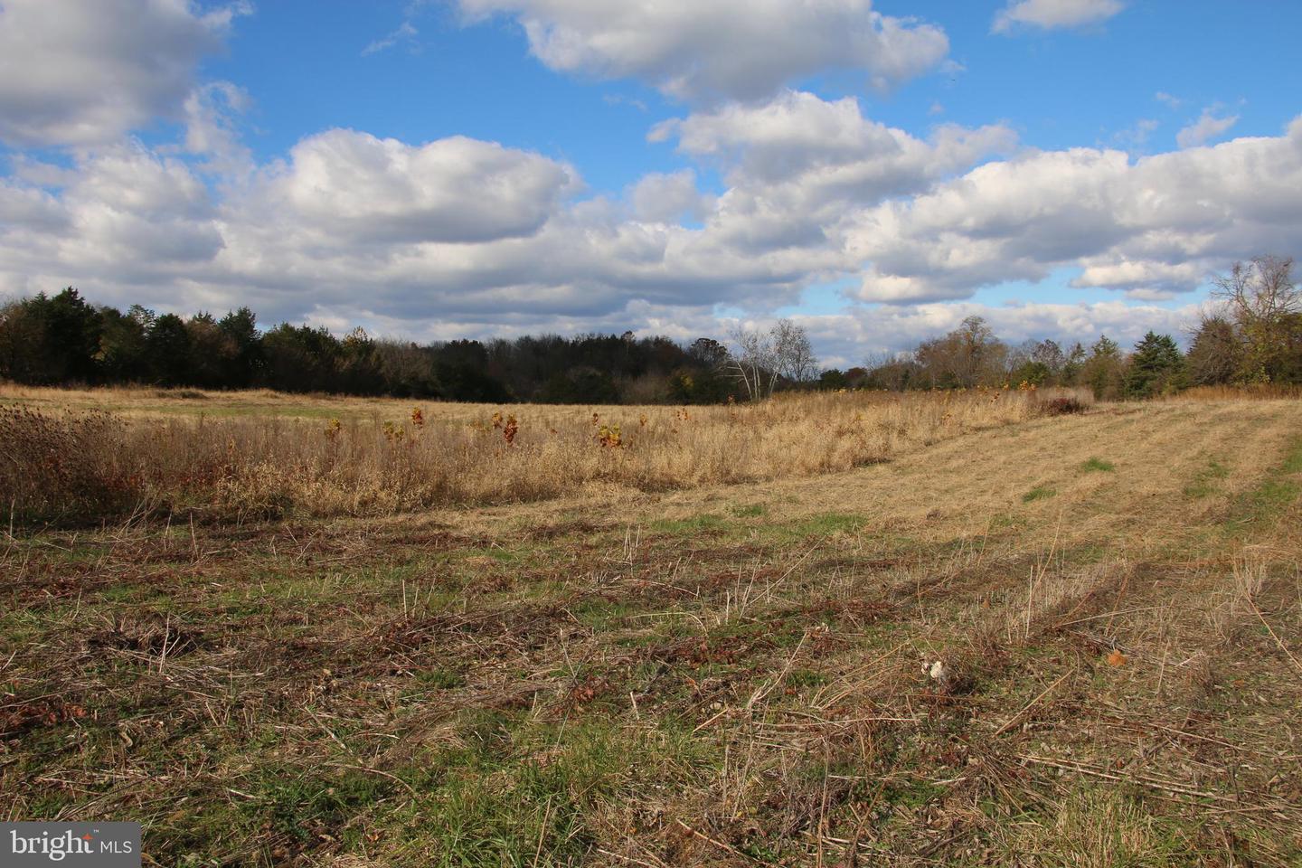 499 E LEE HWY, NEW MARKET, Virginia 22844, 3 Bedrooms Bedrooms, ,2 BathroomsBathrooms,Farm,For Sale,499 E LEE HWY,VASH2012864 MLS # VASH2012864