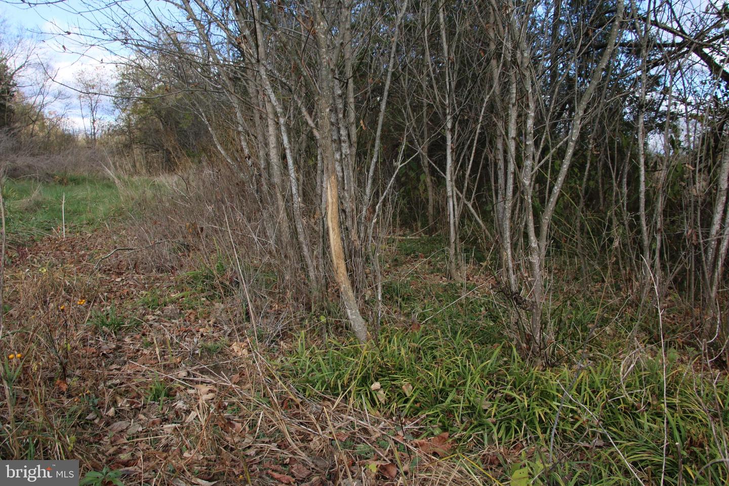 499 E LEE HWY, NEW MARKET, Virginia 22844, 3 Bedrooms Bedrooms, ,2 BathroomsBathrooms,Farm,For Sale,499 E LEE HWY,VASH2012864 MLS # VASH2012864