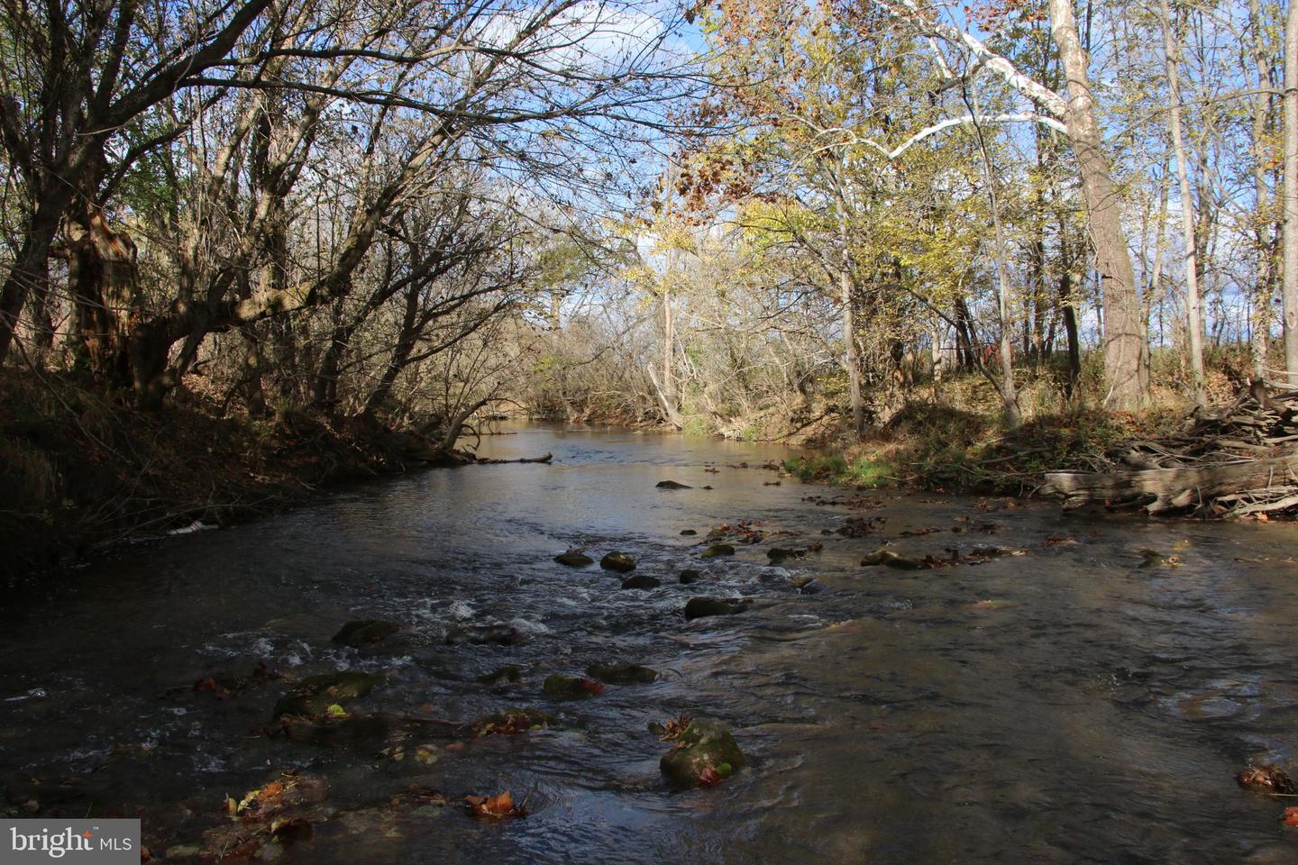 499 E LEE HWY, NEW MARKET, Virginia 22844, 3 Bedrooms Bedrooms, ,2 BathroomsBathrooms,Farm,For Sale,499 E LEE HWY,VASH2012864 MLS # VASH2012864