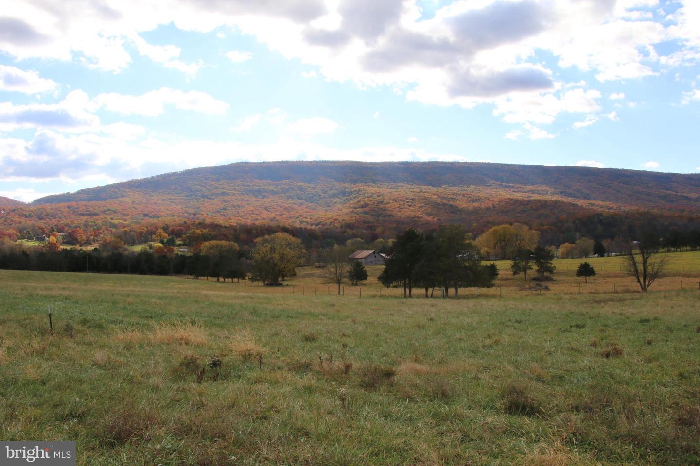 499 E LEE HWY, NEW MARKET, Virginia 22844, 3 Bedrooms Bedrooms, ,2 BathroomsBathrooms,Farm,For Sale,499 E LEE HWY,VASH2012864 MLS # VASH2012864