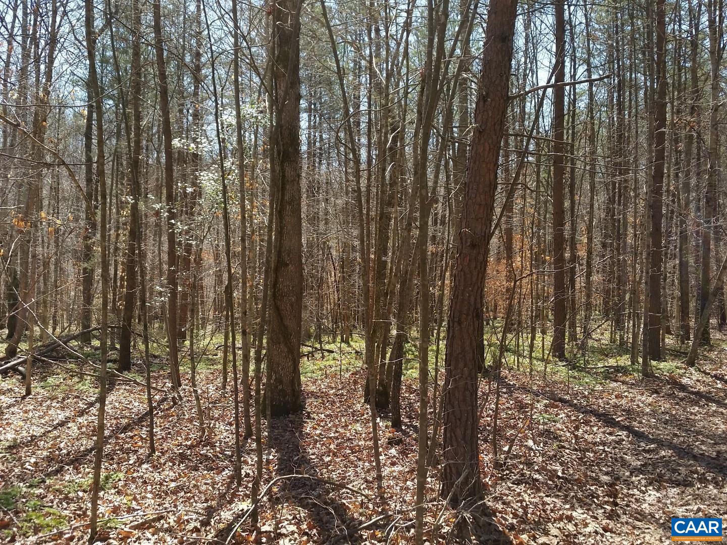 2647 PENNY LN, CHARLOTTESVILLE, Virginia 22901, ,Land,For Sale,2647 PENNY LN,670689 MLS # 670689 2647 PENNY LN, CHARLOTTESVILLE, Virginia 22901, ,Land,For Sale,2647 PENNY LN,670689 MLS # 670689