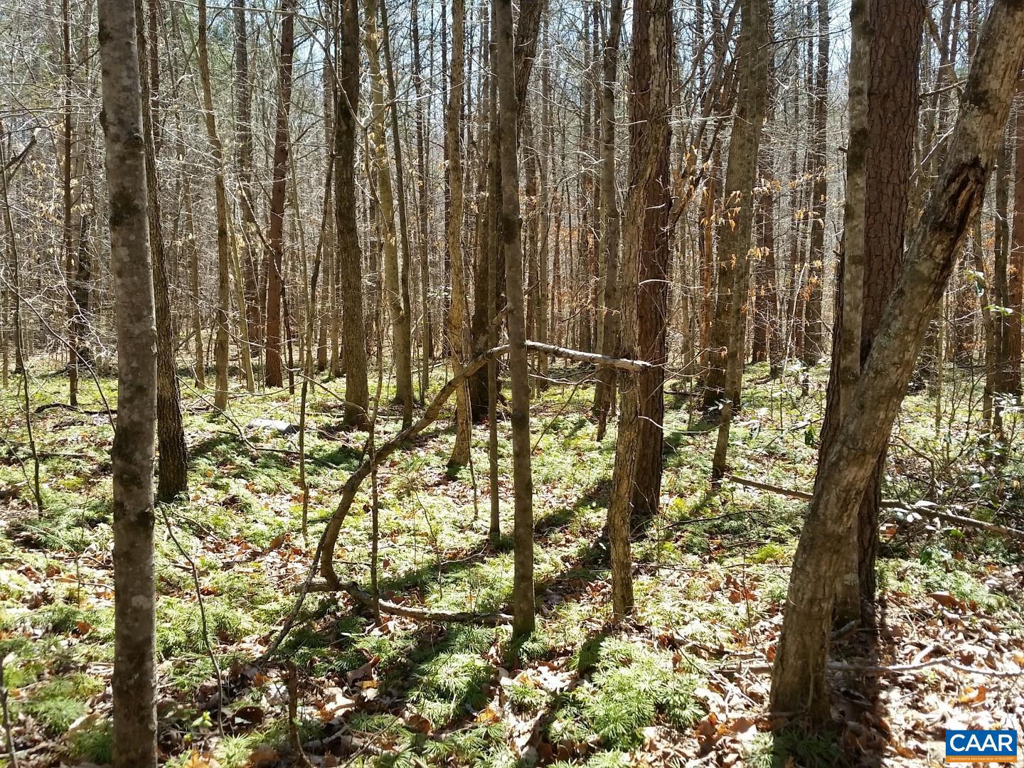 2647 PENNY LN, CHARLOTTESVILLE, Virginia 22901, ,Land,For Sale,2647 PENNY LN,670689 MLS # 670689 2647 PENNY LN, CHARLOTTESVILLE, Virginia 22901, ,Land,For Sale,2647 PENNY LN,670689 MLS # 670689